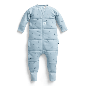 Sleep Onesie Dragonflies 2.5 TOG – ErgoPouch