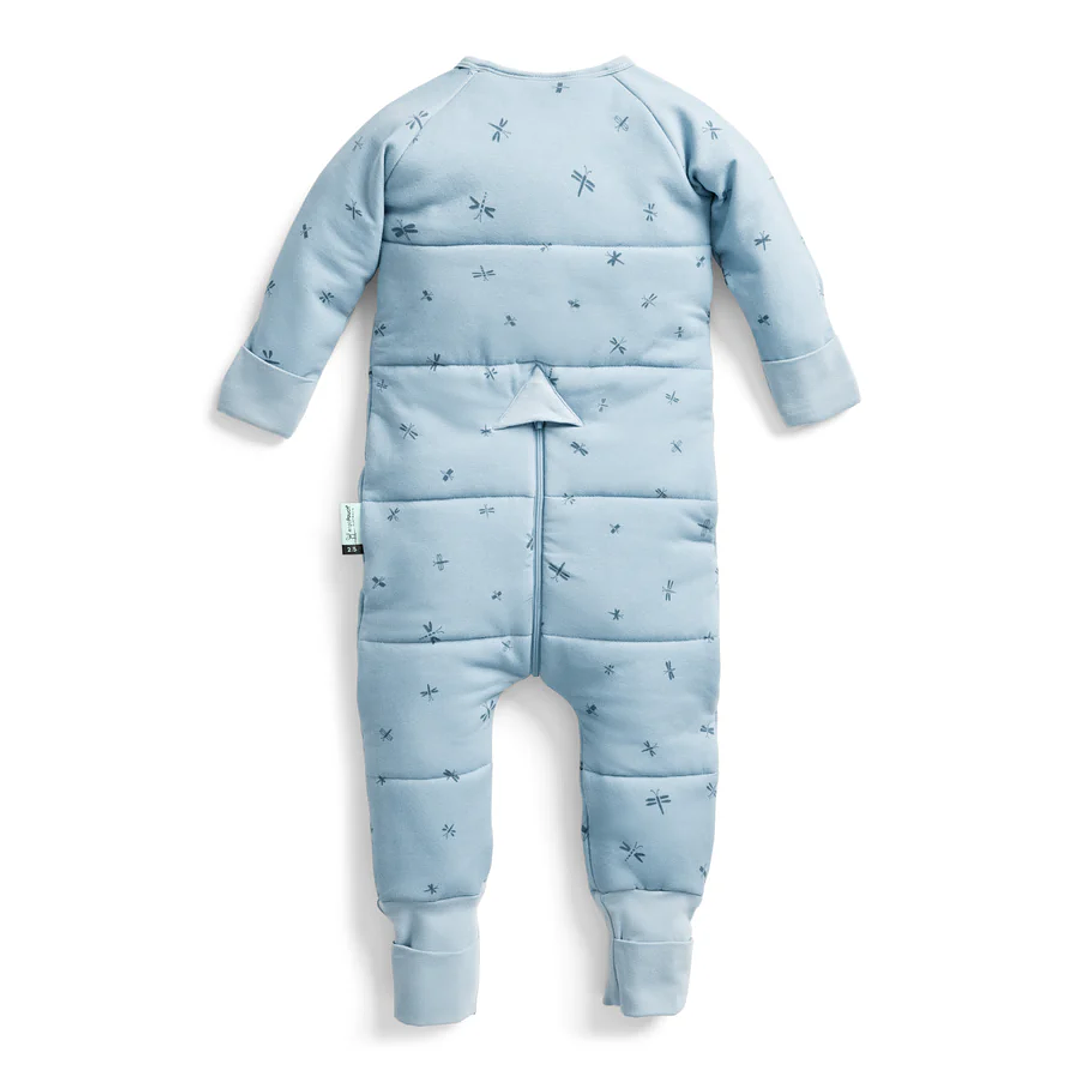 Sleep Onesie Dragonflies 2.5 TOG – ErgoPouch 2