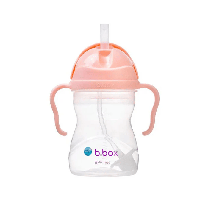 Vaso Sippy Tutti Frutti 2