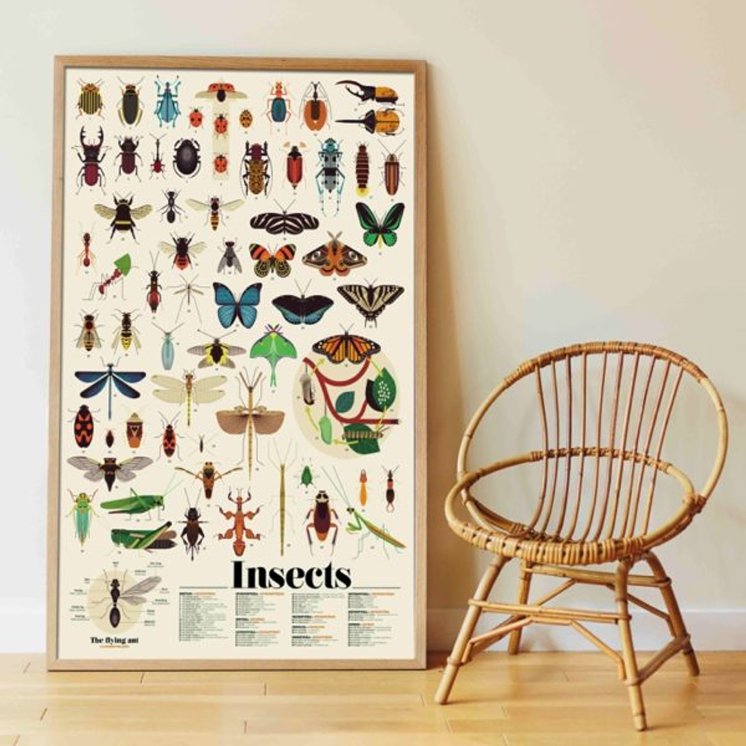 Poster Insects XXL 4