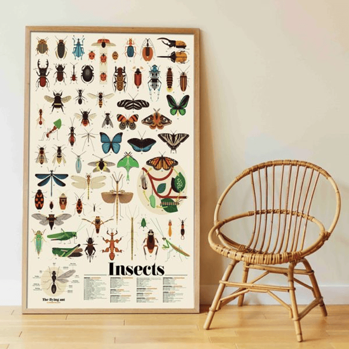 Poster Insects XXL 4