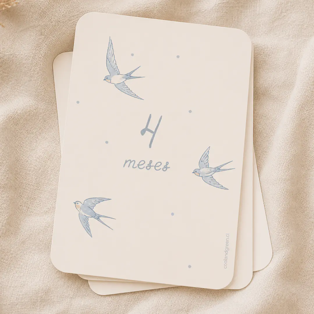 Tarjetas Mes a Mes “Libertad” 3