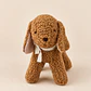 El Perrito Teddy Cafe - Cool & Green - Miniatura 2