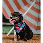 Protector Solar SPF 30 3