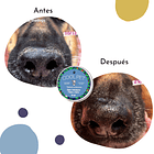 Pack Bienvenido a Casa 4