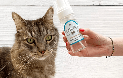 Shampoo sin enjuague para Perros y Gatos