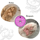 Pack Baño sin Agua Gatos 3