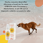 Pack Aventura Protegida 2