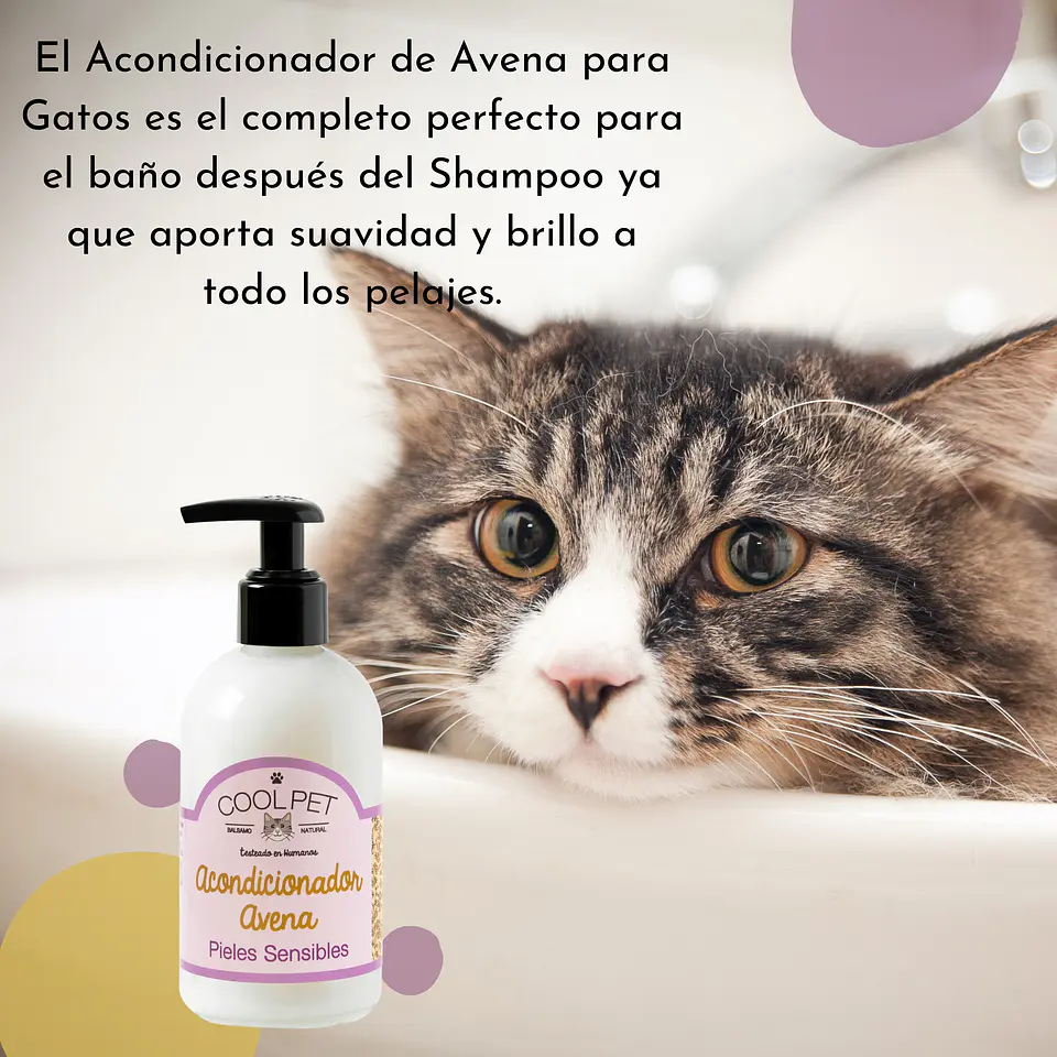 Pack Baño Pieles Sensibles Gatos 4