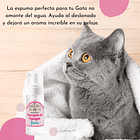 Pack Especial Gatos Verano 2