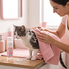 Shampoo Sin Enjuague Gato 2