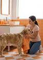 Shampoo Sin Enjuague Perro - Miniatura 2