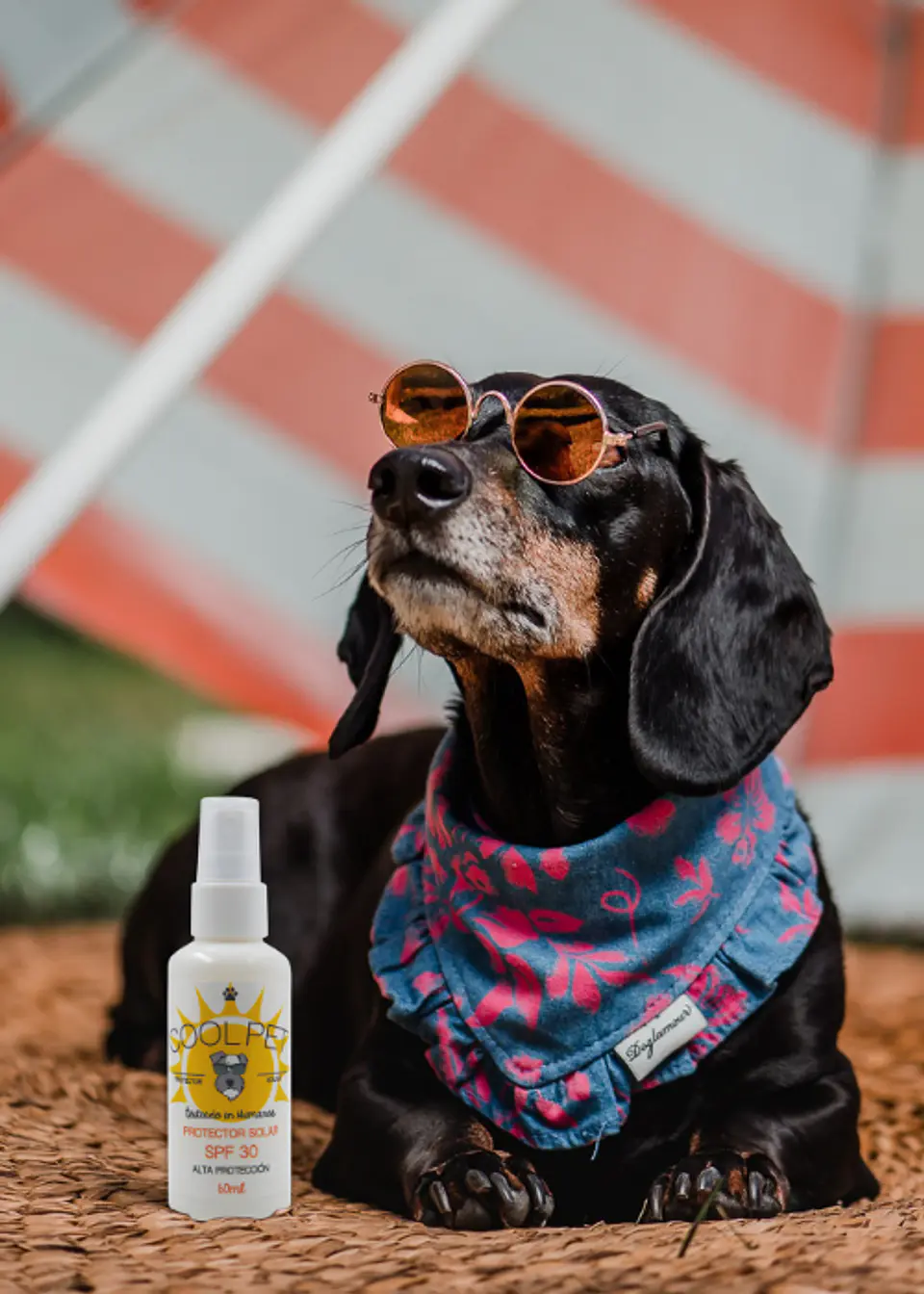 Protector Solar SPF 30 2