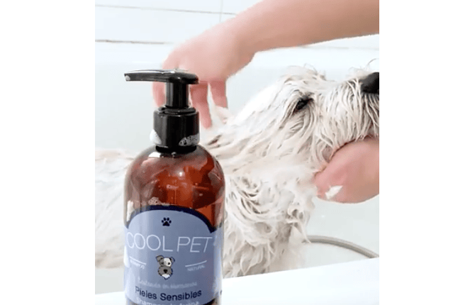 Shampoo y Acondicionador