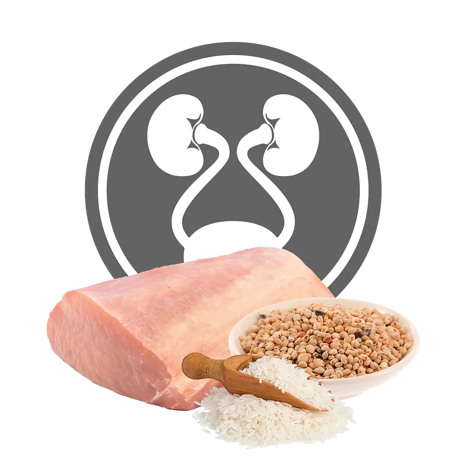 Exclusion Diet Urinary para Cão 400gr 2