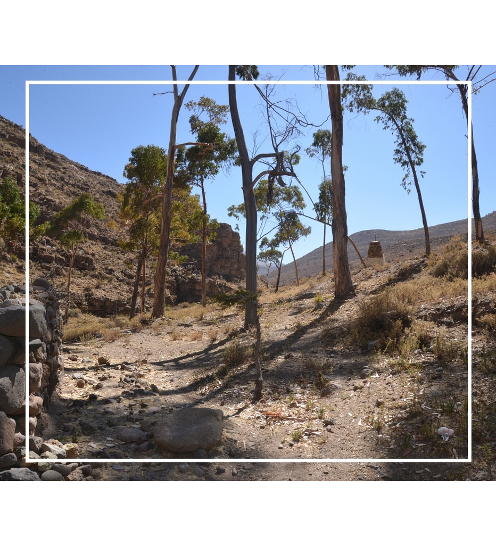 Trekking al Refugio Aymara