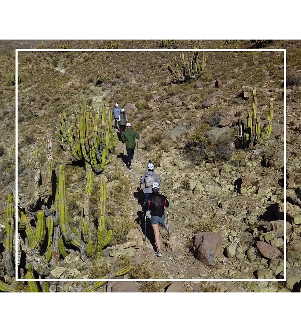 Trekking a los Petroglifos 