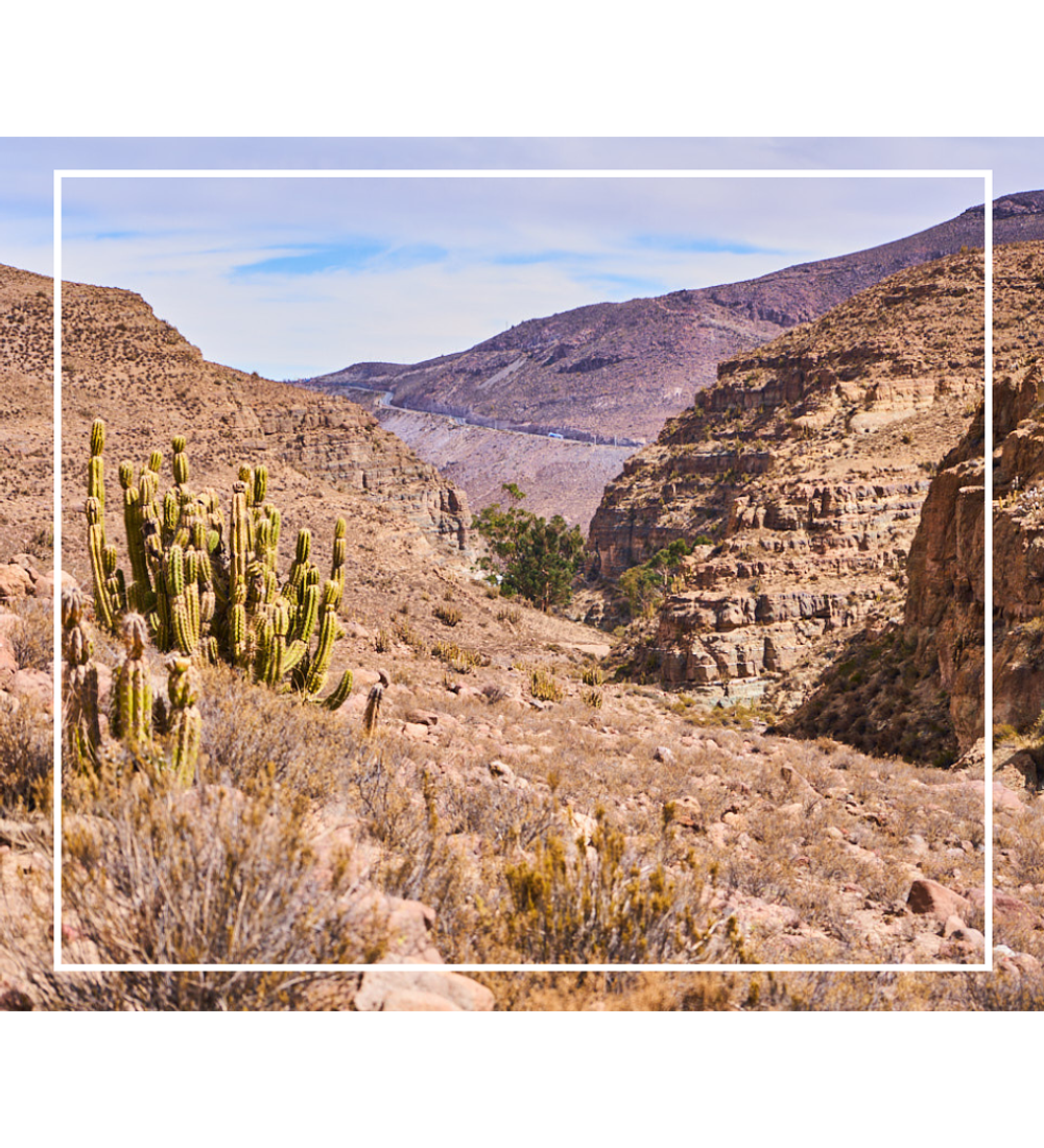 Habitación  | Guanaco