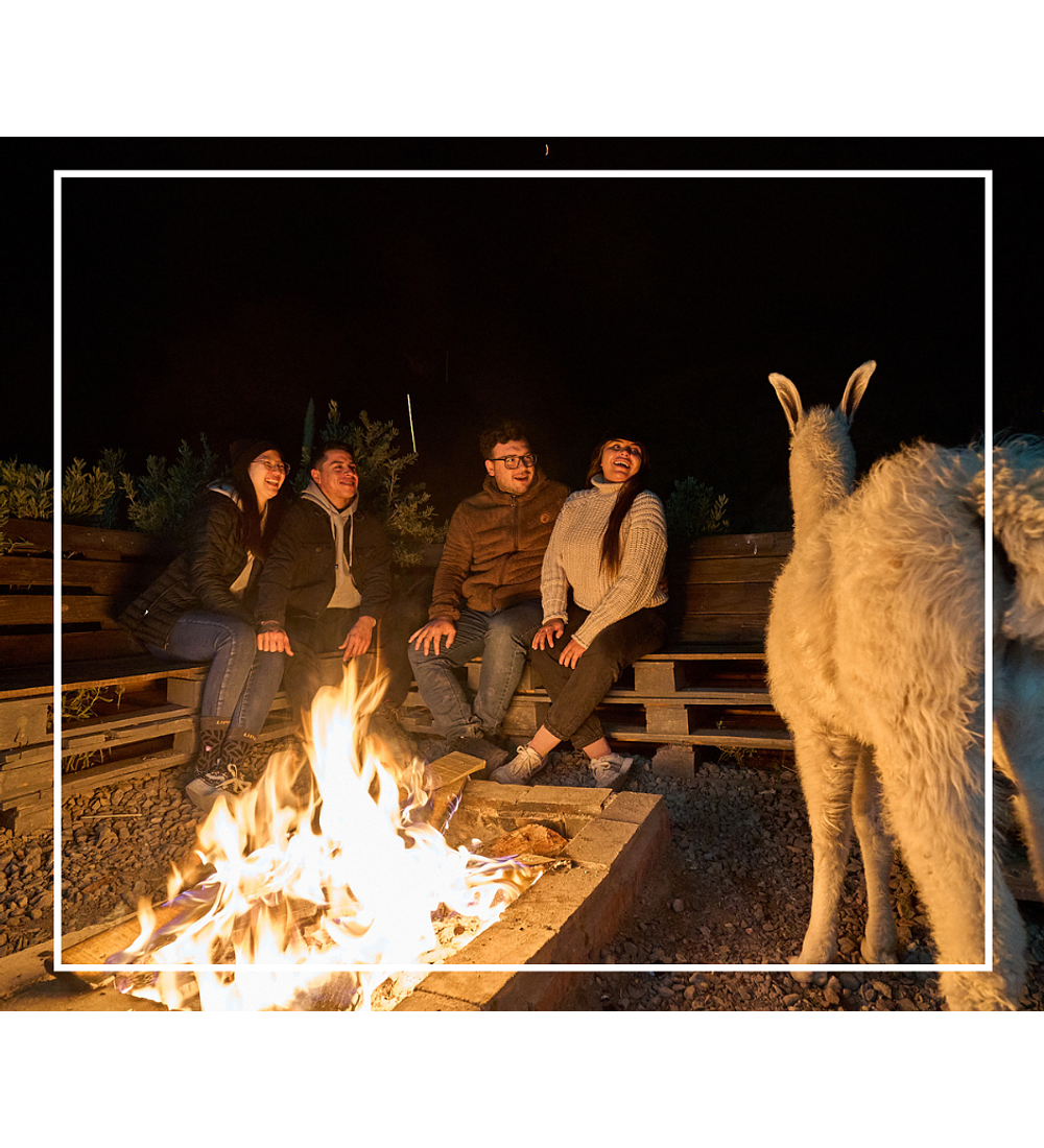 Habitación  | Guanaco