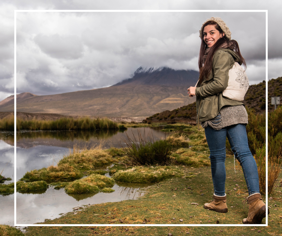 Los Bofedales: Oasis de Vida en el Altiplano Andino