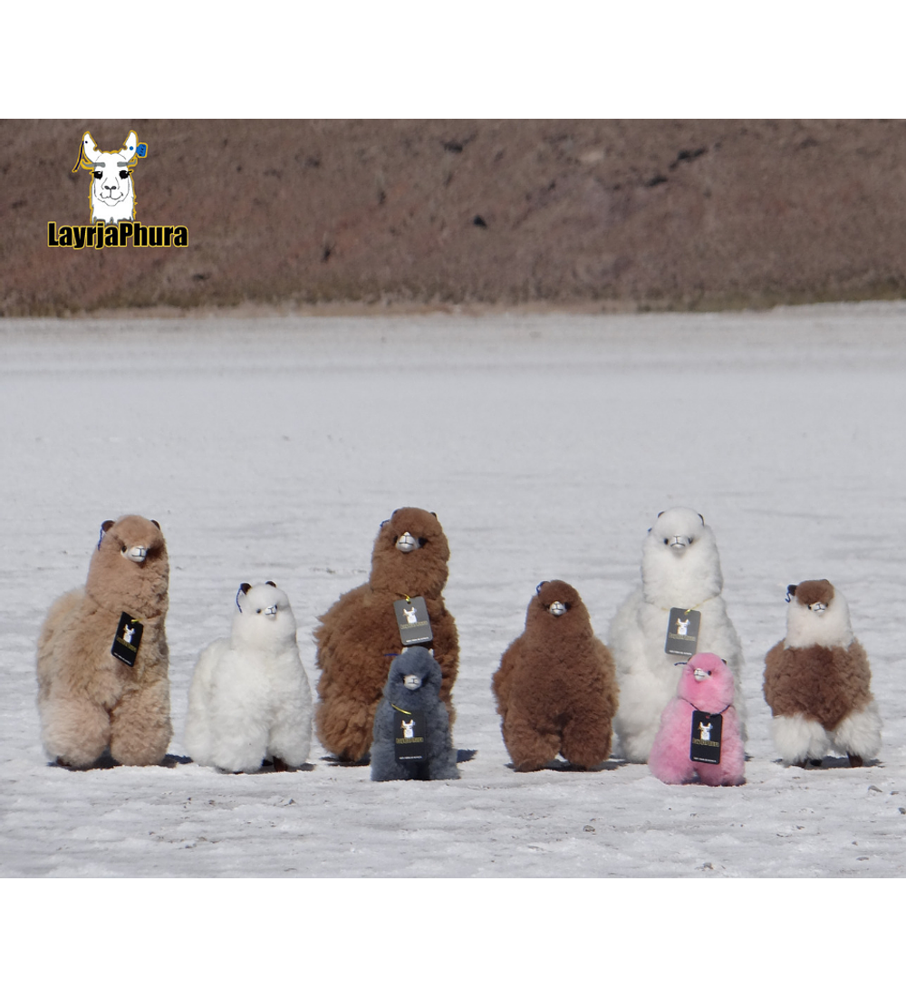 Llamas Layrja Plush Toy