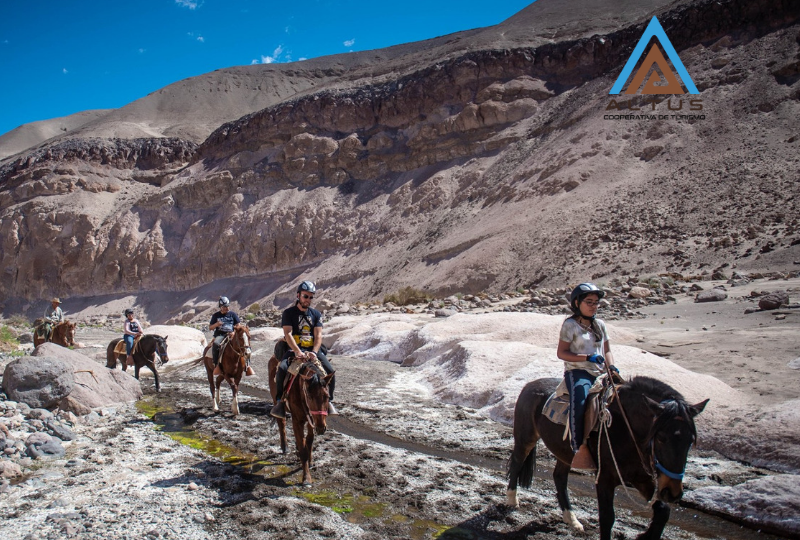 Horse Riding Do you know the equestrian tourism of Tarapacá?