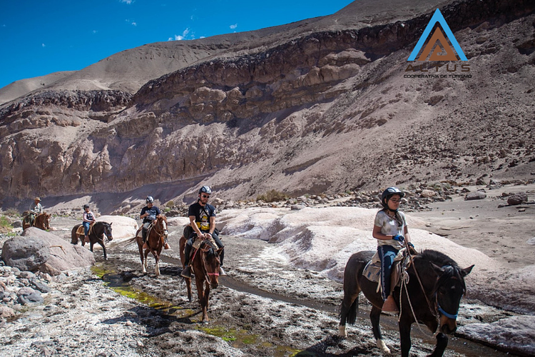 Rutas a caballo ¿conoces el turismo ecuestre de Tarapacá?
