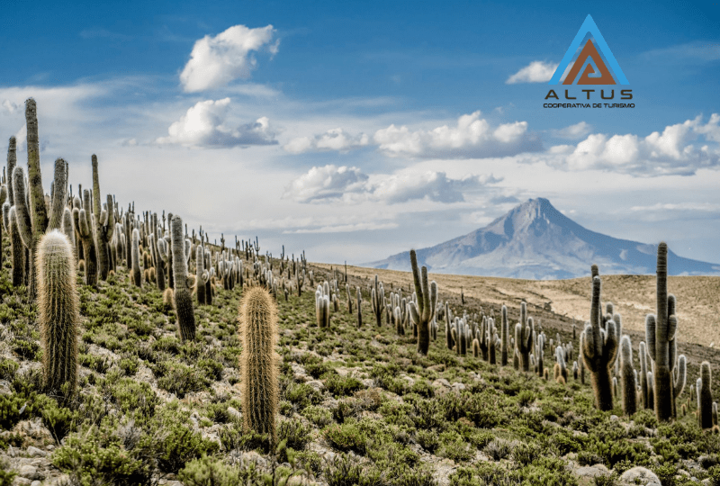 10 razones para conocer la región de Tarapacá antes de viajar al extranjero