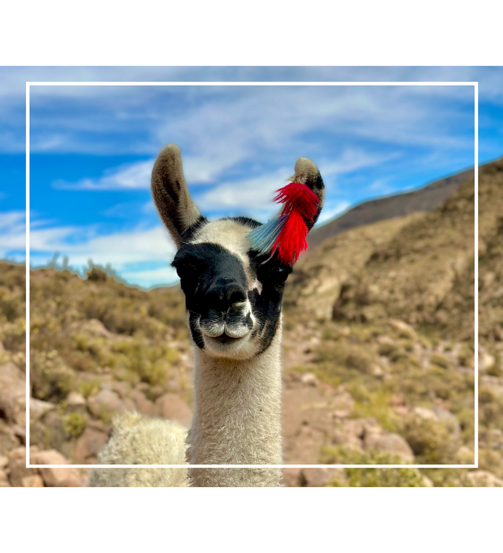 Tour Chusmiza 3 Días / 2 Noches desde Arica