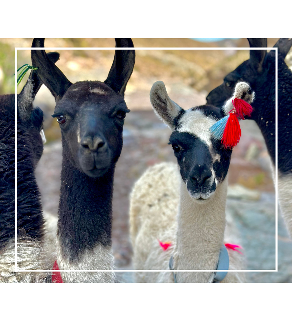 Tour Chusmiza 3 Días / 2 Noches desde Arica