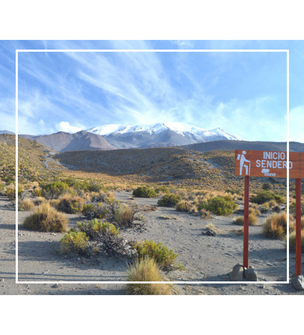 Ascenso Volcán Isluga | 12 y 13 de abril 