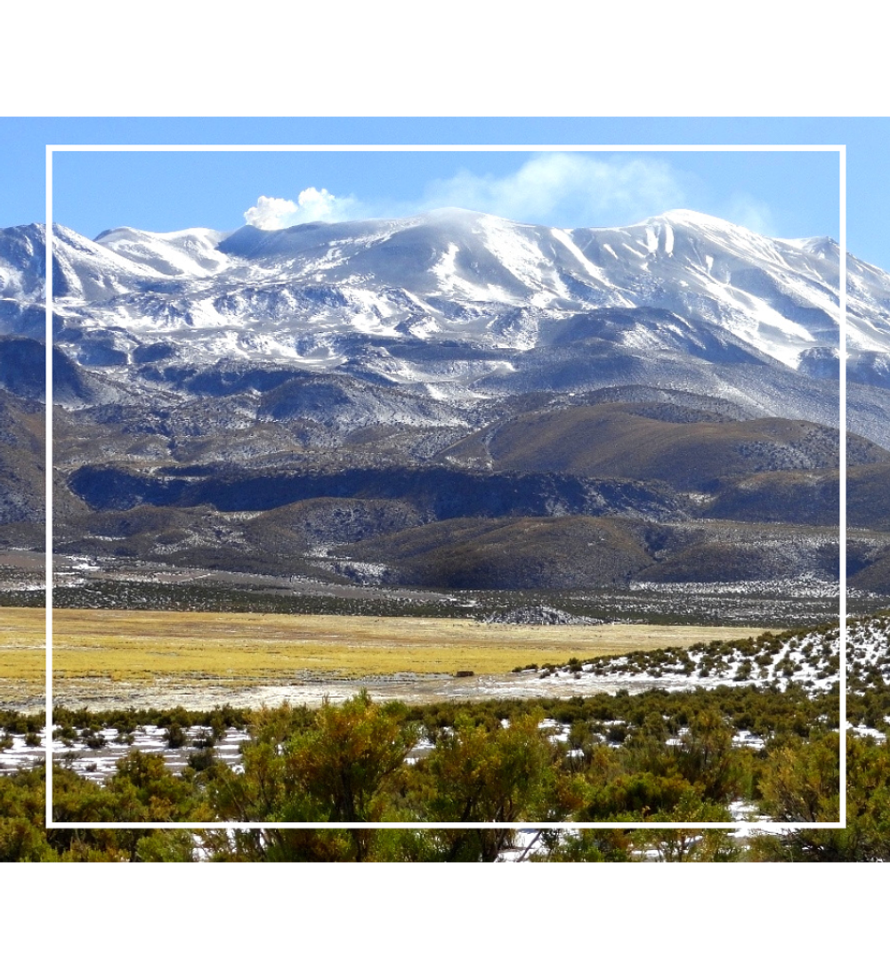 Ascenso Volcán Isluga | 12 y 13 de abril 