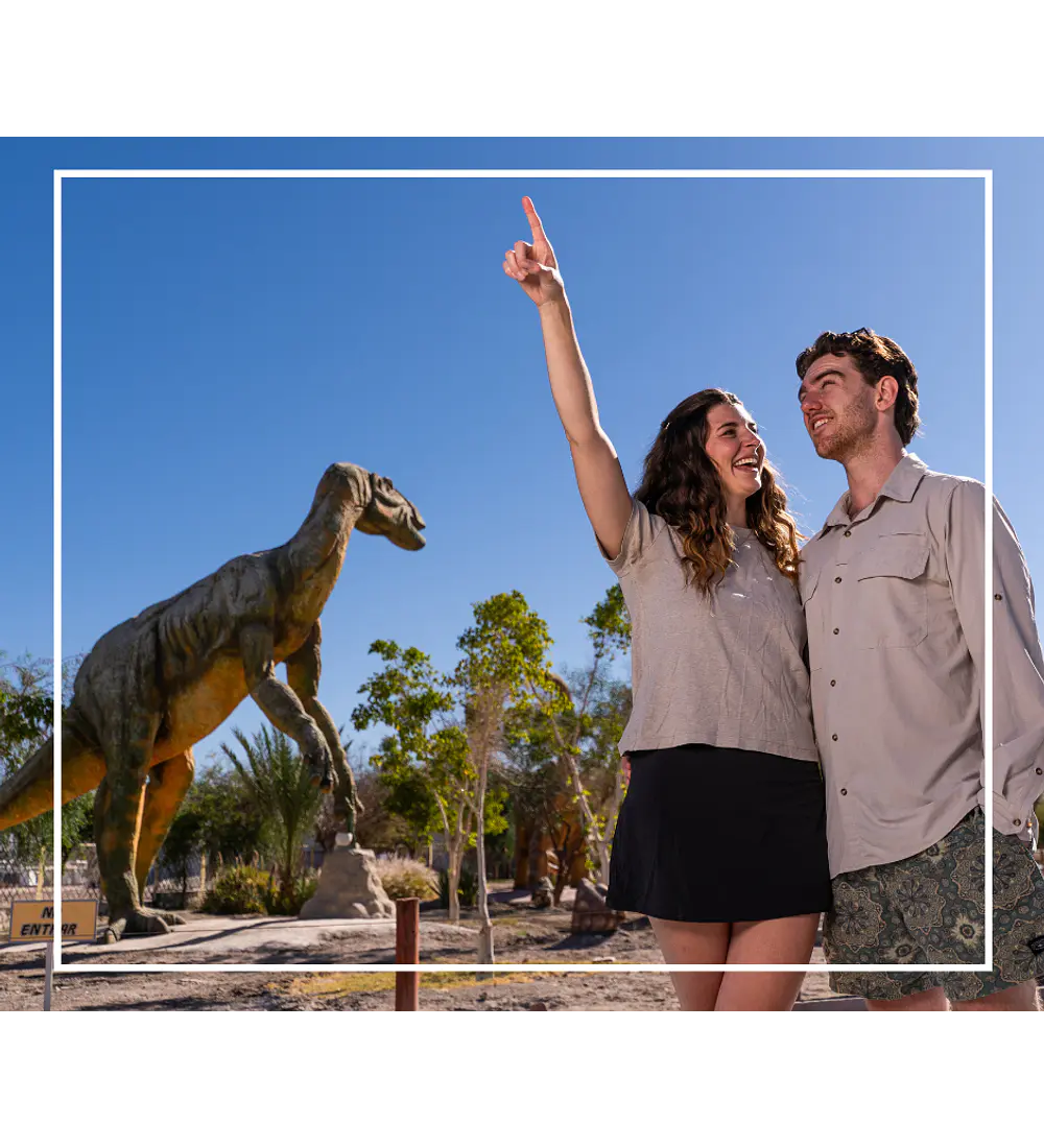 Tour oficinas salitreras y oasis de pica