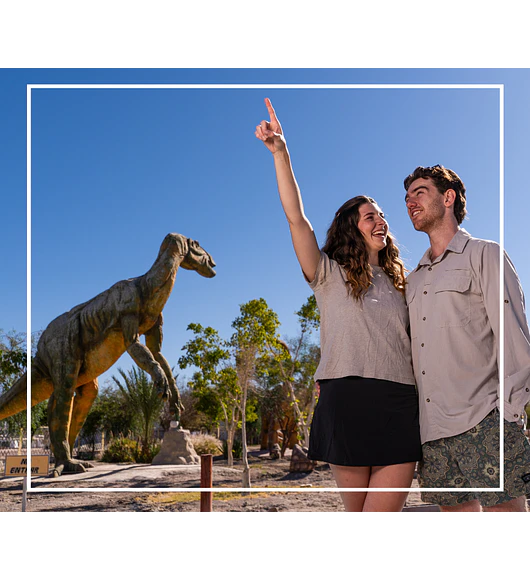 Tour oficinas salitreras y oasis de pica