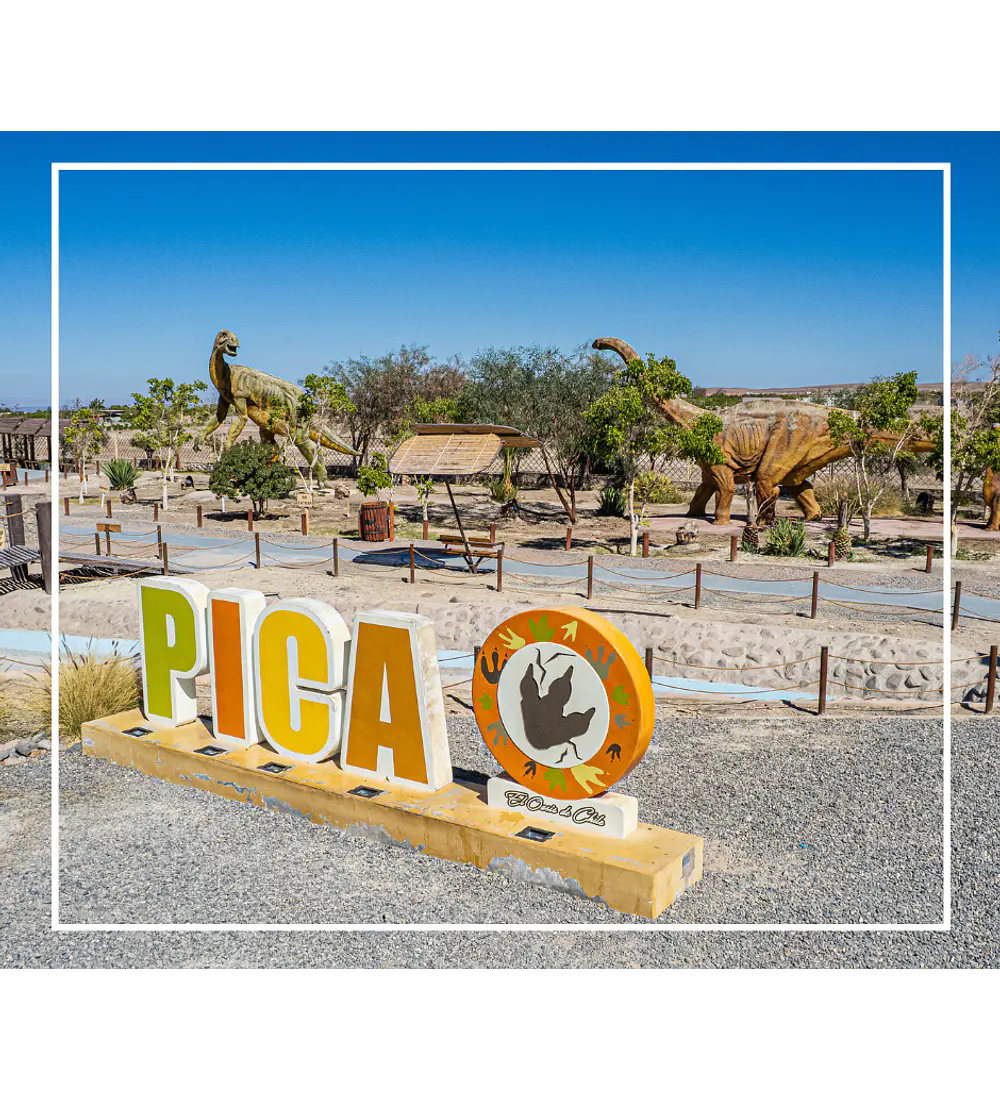 Tour oficinas salitreras y oasis de pica