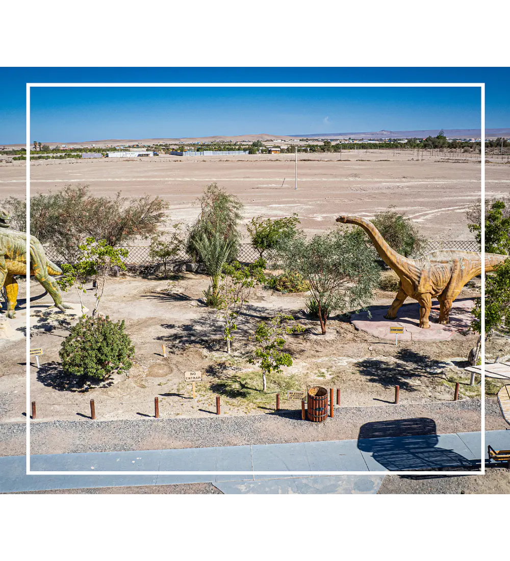 Tour oficinas salitreras y oasis de pica