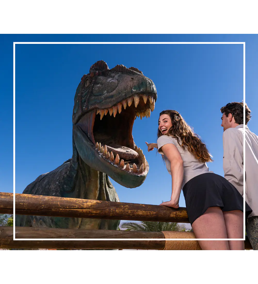 Tour oficinas salitreras y oasis de pica