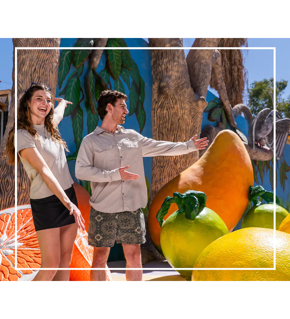 Tour oficinas salitreras y oasis de pica