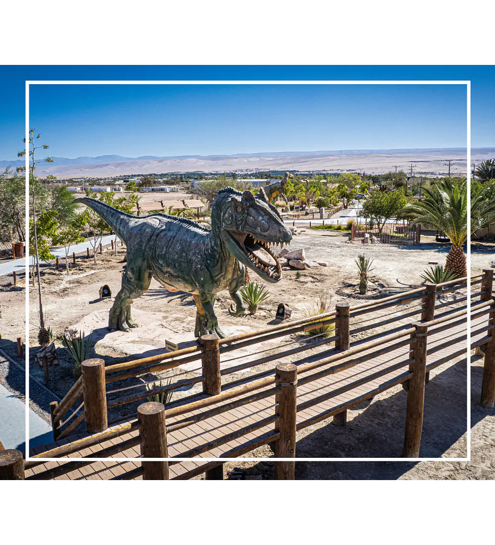 Tour oficinas salitreras y oasis de pica