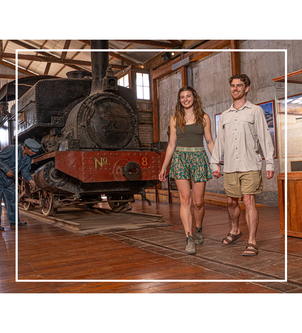 Tour oficinas salitreras y oasis de pica