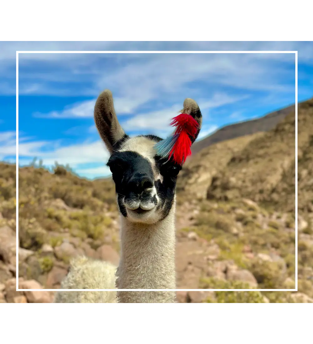 Retiro Chusmiza: Experiencia Íntima para Parejas