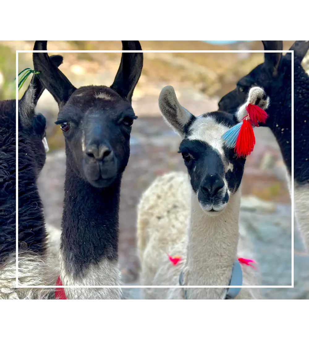 Retiro Chusmiza: Experiencia Íntima para Parejas