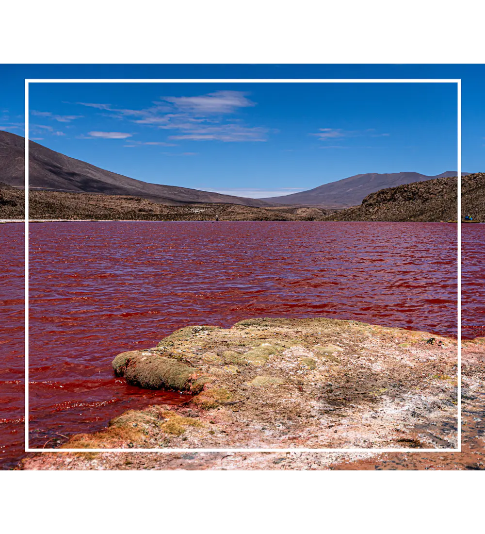 Tour Laguna Roja desde la ciudad Iquique