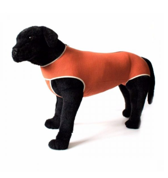 Body Post Operatorio Castracion Perro Macho
