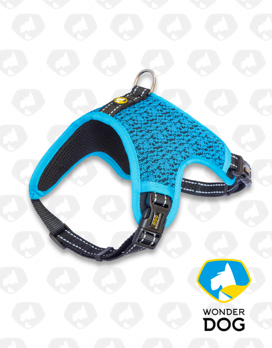 ARNES THE FLY PRO WONDER DOG - METHYL BLUE