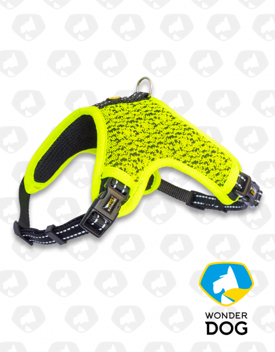 ARNES THE FLY PRO WONDER DOG - LIME GREEN