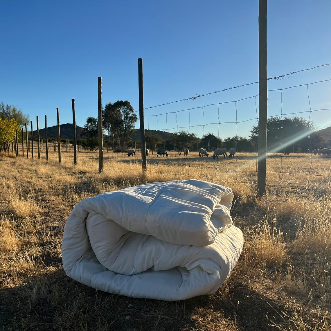 Plumón Lana de Oveja Premium 2 Plazas 2