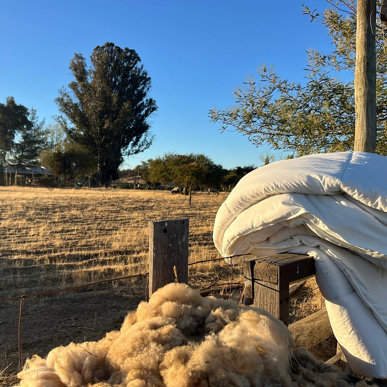 Plumón Lana de Oveja Premium 2 Plazas 1