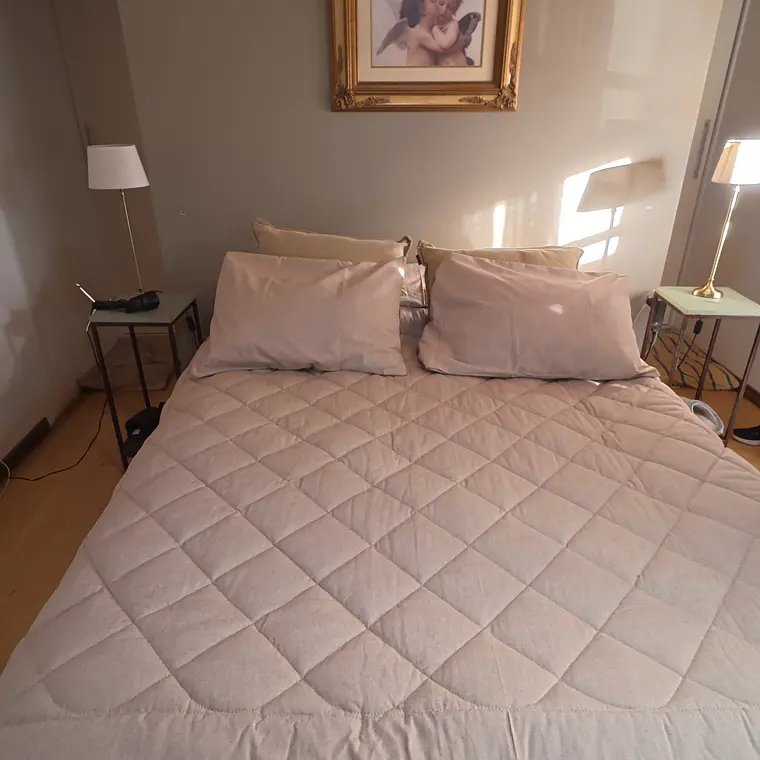 Plumón Lino Beige Lana de Oveja Premium  2