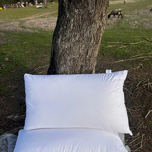 Almohadas de Fibra de Lana de Oveja